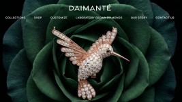 DAIMANTÉ Enters India’s Luxury Jewellery Market with AI-Led, Sustainable Diamond Designs