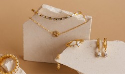 Titan jewellery growth supports FY27 earnings outlook