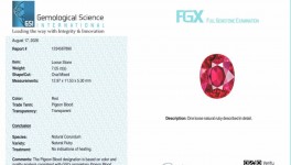 GSI begins issuing Pigeon Blood ruby reports in India